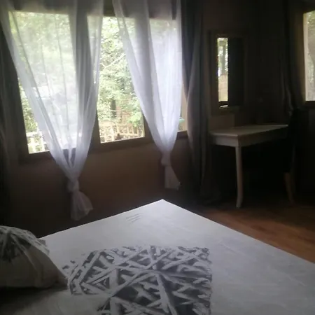 Attitudes Naturelles Bed & Breakfast *